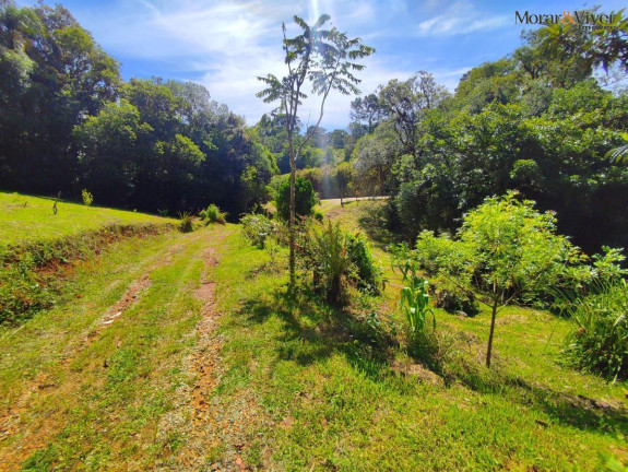 Imagem Imóvel com 2 Quartos à Venda, 7.724 m² em Loteamento Chácara Chantecler - Piraquara Imagem Imóvel com 2 Quartos à Venda, 7.724 m² em Loteamento Chácara Chantecler - Piraquara