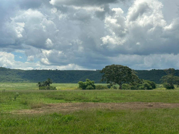 Imagem Imóvel à Venda, 270 m² em área Rural De Sete Barras - Sete Barras Imagem Imóvel à Venda, 270 m² em área Rural De Sete Barras - Sete Barras