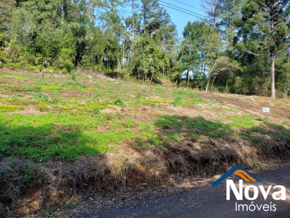 Imagem Imóvel à Venda, 11.918 m² em Linha Araripe - Nova Petrópolis Imagem Imóvel à Venda, 11.918 m² em Linha Araripe - Nova Petrópolis