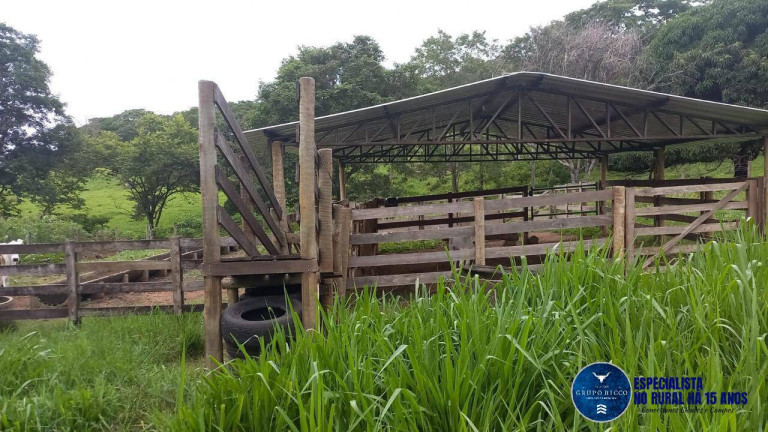 Imagem Chácara à Venda, 1 m² em Zona Rural - Itaberaí Imagem Chácara à Venda, 1 m² em Zona Rural - Itaberaí