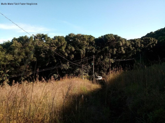 Imagem Terreno à Venda, 2 m² em Linha Imperial - Nova Petrópolis Imagem Terreno à Venda, 2 m² em Linha Imperial - Nova Petrópolis