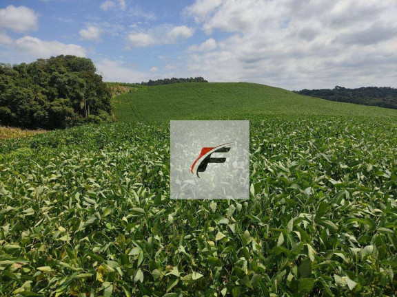 Imagem Chácara com 3 Quartos à Venda, 120 m² em Zona Rural - Lapa Imagem Chácara com 3 Quartos à Venda, 120 m² em Zona Rural - Lapa