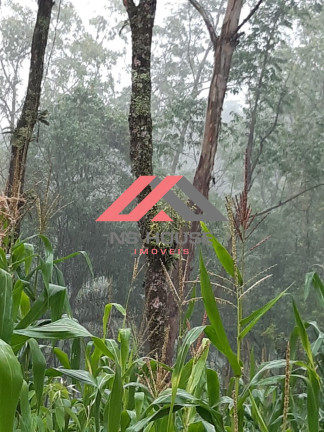 Imagem Terreno à Venda, 2.500 m² em Vila Machado - Mairiporã Imagem Terreno à Venda, 2.500 m² em Vila Machado - Mairiporã