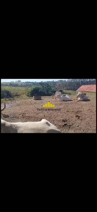 Imagem Fazenda à Venda, 67 m² em Rural - Itapetininga Imagem Fazenda à Venda, 67 m² em Rural - Itapetininga