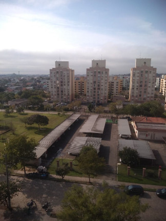 Imagem Apartamento com 3 Quartos à Venda, 71 m² em Sarandi - Porto Alegre Imagem Apartamento com 3 Quartos à Venda, 71 m² em Sarandi - Porto Alegre