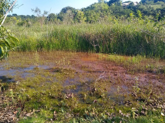 Imagem Imóvel à Venda, 874 m² em Palmeiras - Guaraparia