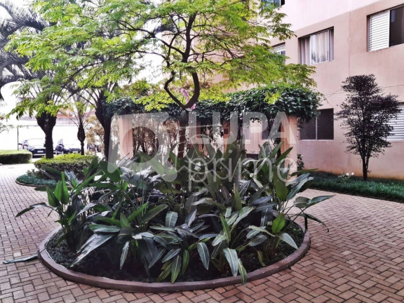 Imagem Apartamento com 2 Quartos à Venda, 54 m² em água Branca - São Paulo Imagem Apartamento com 2 Quartos à Venda, 54 m² em água Branca - São Paulo