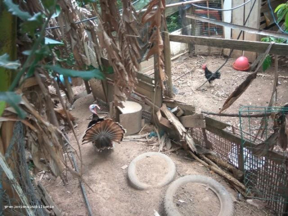 Imagem Chácara à Venda, em Recanto Das Acácias - São Roque Imagem Chácara à Venda, em Recanto Das Acácias - São Roque
