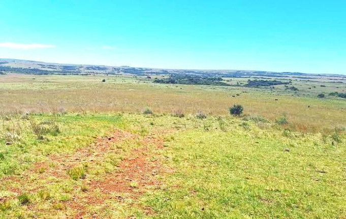 Imagem Imóvel com 2 Quartos à Venda, 1.300 m² em Santana Do Livramento Imagem Imóvel com 2 Quartos à Venda, 1.300 m² em Santana Do Livramento