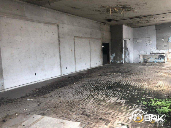 Imagem Galpão para Alugar, 1.000 m² em Mooca - São Paulo