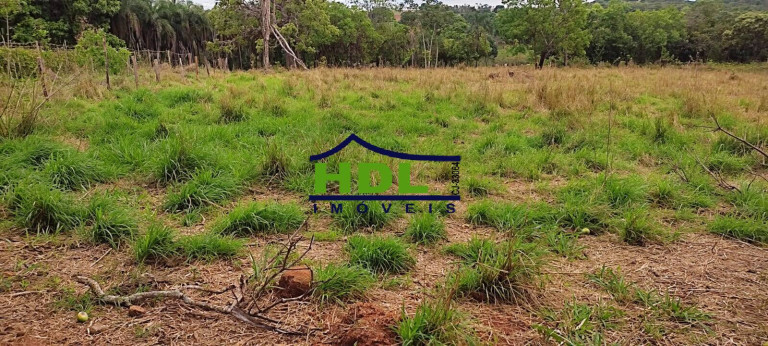 Imagem Chácara com 3 Quartos à Venda, 5 m² em Zona Rural - Hidrolândia Imagem Chácara com 3 Quartos à Venda, 5 m² em Zona Rural - Hidrolândia