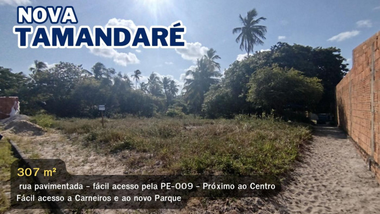 Terreno à Venda, 307 m² em Nova Tamandaré - Tamandaré