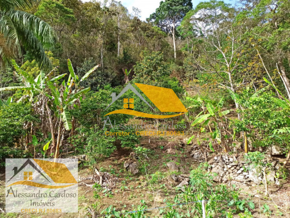 Imagem Casa com 3 Quartos à Venda, 270 m² em Chácara Paraíso - Nova Friburgo Imagem Casa com 3 Quartos à Venda, 270 m² em Chácara Paraíso - Nova Friburgo