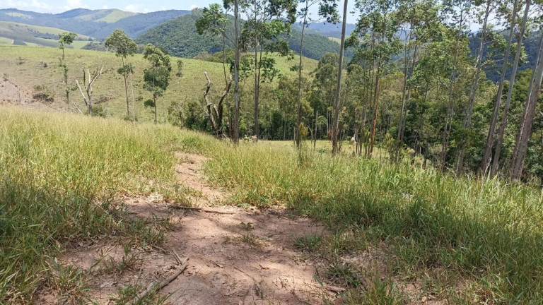 Imagem Chácara à Venda, 200 m² em Centro - Paraibuna