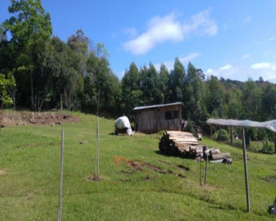 Imagem Imóvel com 2 Quartos à Venda, 3 m² em Linha Imperial - Nova Petrópolis Imagem Imóvel com 2 Quartos à Venda, 3 m² em Linha Imperial - Nova Petrópolis