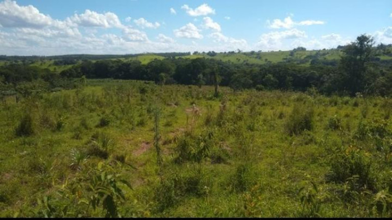 Imagem Chácara à Venda, 9 m² em Rural - Angatuba Imagem Chácara à Venda, 9 m² em Rural - Angatuba