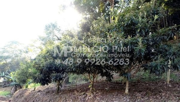 Imagem Imóvel à Venda,  em Rio Do Alho - Major Gercino Sc