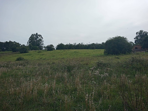 Imagem Chácara à Venda, 10.000 m² em águas Claras - Viamão