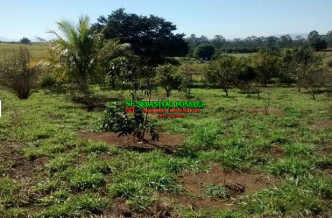 Imagem Chácara à Venda, 968.000 m² em Centro - Caçapava Imagem Chácara à Venda, 968.000 m² em Centro - Caçapava