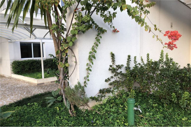 Imagem Apartamento com 3 Quartos à Venda, 63 m² em Vila Santa Clara - São Paulo