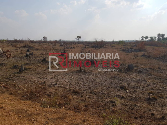 Imagem Fazenda à Venda, 40 m² em Conceição Do Araguaia Imagem Fazenda à Venda, 40 m² em Conceição Do Araguaia