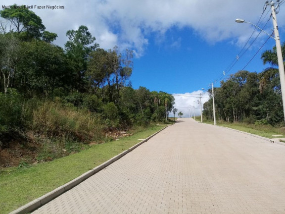 Imagem Terreno à Venda, 386 m² em Linha Imperial - Nova Petrópolis Imagem Terreno à Venda, 386 m² em Linha Imperial - Nova Petrópolis