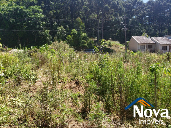 Imagem Imóvel à Venda, 360 m² em Piá - Nova Petrópolis Imagem Imóvel à Venda, 360 m² em Piá - Nova Petrópolis