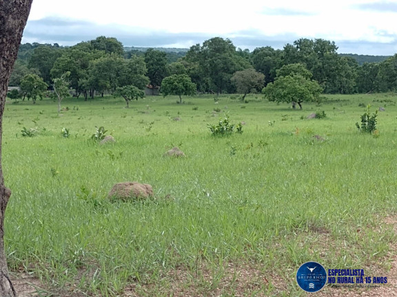 Imagem Fazenda à Venda, 40 m² em Zona Rural - Aragarças Imagem Fazenda à Venda, 40 m² em Zona Rural - Aragarças