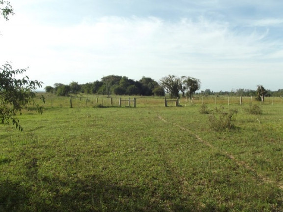 Imagem Chácara à Venda, 8 m² em águas Claras - Viamão Imagem Chácara à Venda, 8 m² em águas Claras - Viamão
