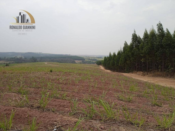 Fazenda à Venda, 968.000 m² em Zona Rural - Mombuca
