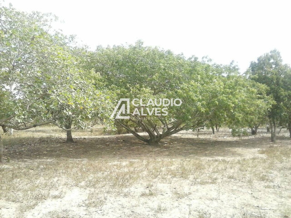 Imagem Terreno à Venda, 10 m² em Jaíba - Feira De Santana Imagem Terreno à Venda, 10 m² em Jaíba - Feira De Santana