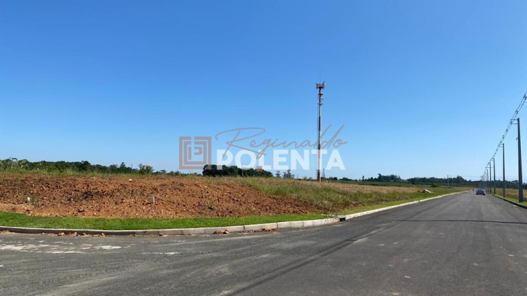 Imagem Terreno à Venda, 250 m² em Vila Nova Esperança - Criciúma