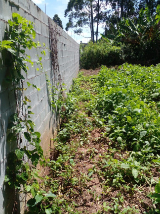 Imagem Imóvel à Venda, 5.000 m² em Vila Aparecida - Suzano