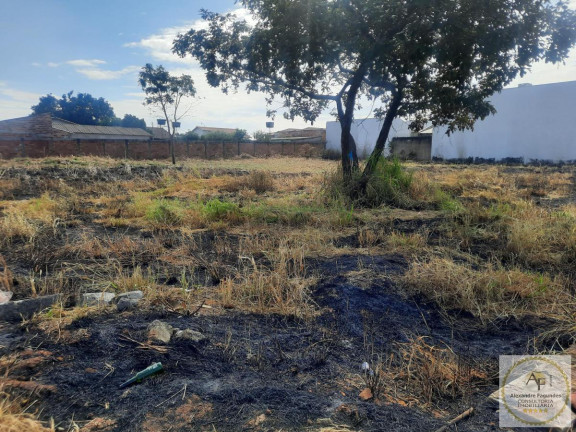 Imagem Imóvel à Venda, 1.220 m² em Independência - Aparecida De Goiânia