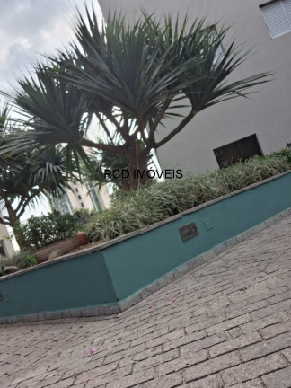 Imagem Apartamento com 3 Quartos à Venda, 73 m² em Jardim Ester - São Paulo