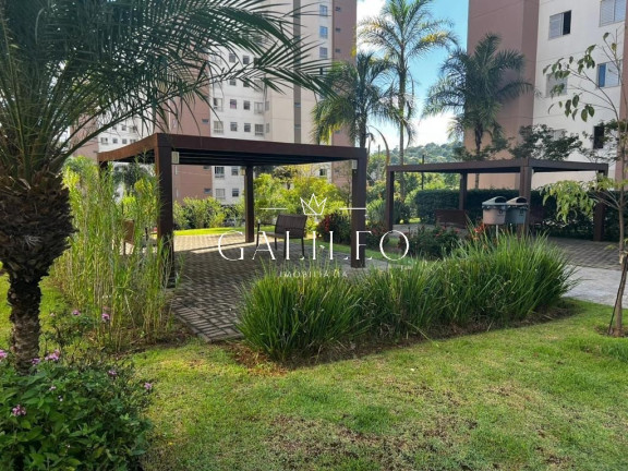 Imagem Apartamento com 2 Quartos à Venda, 58 m² em Cidade Nova - Jundiaí Imagem Apartamento com 2 Quartos à Venda, 58 m² em Cidade Nova - Jundiaí