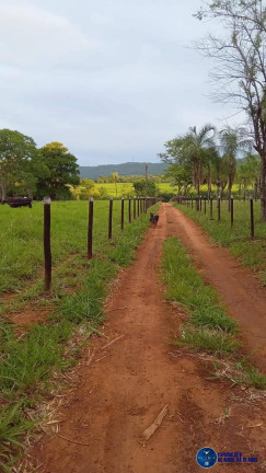 Imagem Chácara à Venda, 1 m² em Zona Rural - Guapó Imagem Chácara à Venda, 1 m² em Zona Rural - Guapó