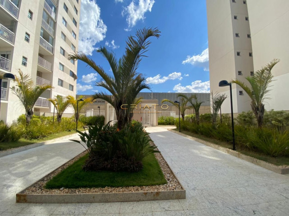 Imagem Apartamento com 3 Quartos à Venda, 72 m² em Cidade Jardim - Anápolis Imagem Apartamento com 3 Quartos à Venda, 72 m² em Cidade Jardim - Anápolis