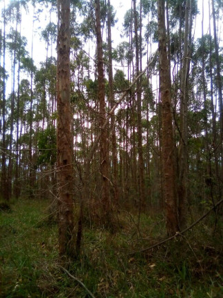 Imagem Terreno à Venda, 1 m² em Parque Santo Antônio - Jacareí Imagem Terreno à Venda, 1 m² em Parque Santo Antônio - Jacareí