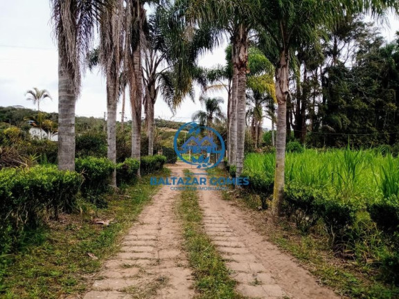 Imagem Imóvel com 3 Quartos à Venda, 56.000 m² em Cocuera - Mogi Das Cruzes Imagem Imóvel com 3 Quartos à Venda, 56.000 m² em Cocuera - Mogi Das Cruzes