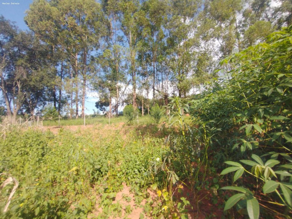 Imagem Chácara com 1 Quarto à Venda, 45 m² em Mateus Leme