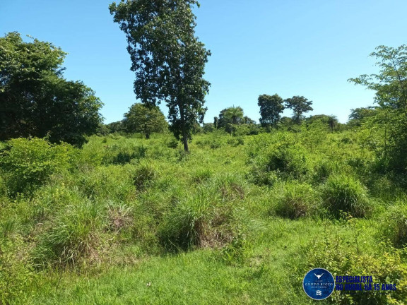 Imagem Fazenda à Venda, 200 m² em Zona Rural - Uirapuru Imagem Fazenda à Venda, 200 m² em Zona Rural - Uirapuru