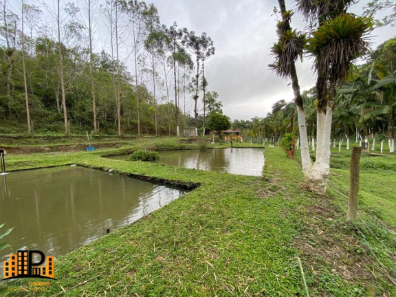 Imagem Imóvel com 4 Quartos à Venda, 490 m² em Bairro Dos Messias - Miracatu Imagem Imóvel com 4 Quartos à Venda, 490 m² em Bairro Dos Messias - Miracatu