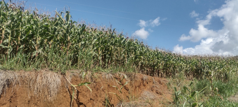 Imagem Fazenda à Venda, 100 m² em Centro - Aiuruoca Imagem Fazenda à Venda, 100 m² em Centro - Aiuruoca