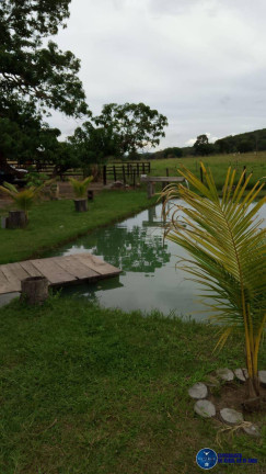 Imagem Chácara à Venda, 5 m² em Zona Rural - Mairipotaba Imagem Chácara à Venda, 5 m² em Zona Rural - Mairipotaba