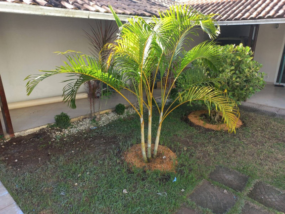 Imagem Casa com 3 Quartos à Venda, 424 m² em Nova Ponta Da Fruta - Vila Velha