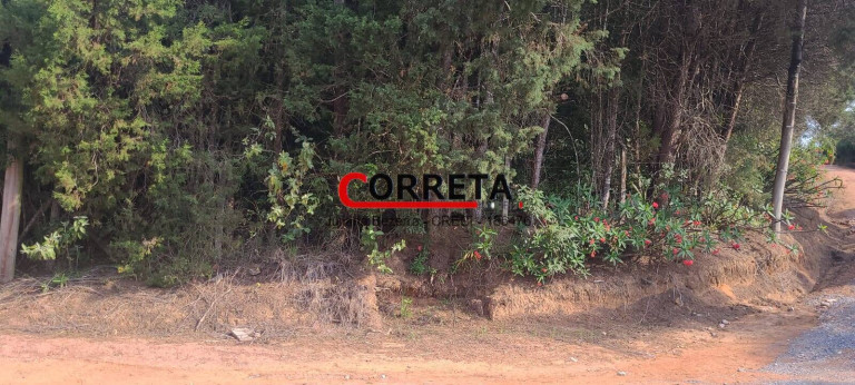 Imagem Terreno em Condomínio à Venda, 2.180 m² em Cocais - Ibiúna Imagem Terreno em Condomínio à Venda, 2.180 m² em Cocais - Ibiúna