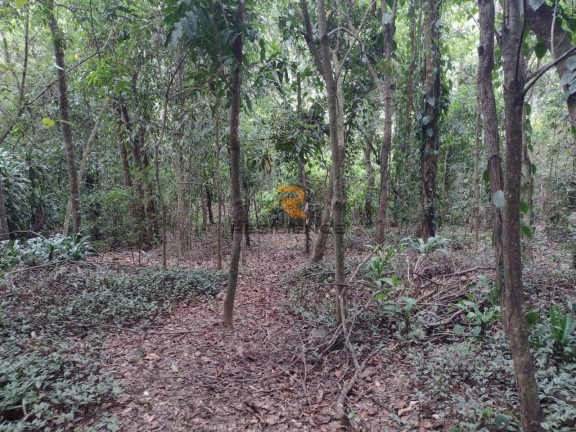 Imagem Casa de Condomínio com 3 Quartos à Venda, 200 m² em Campinho - Lagoa Santa