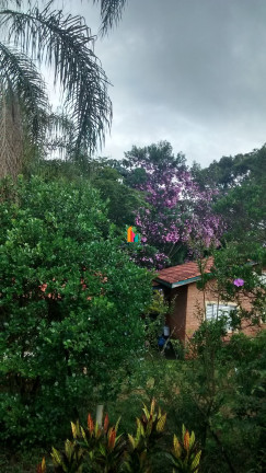 Imagem Imóvel com 4 Quartos à Venda, 20.000 m² em Sítios Fazenda Primavera - Jarinu Imagem Imóvel com 4 Quartos à Venda, 20.000 m² em Sítios Fazenda Primavera - Jarinu