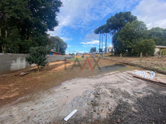Imagem Casa com 2 Quartos para Alugar, 57 m² em Primavera - Guarapuava Imagem Casa com 2 Quartos para Alugar, 57 m² em Primavera - Guarapuava